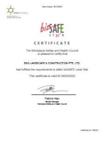 Bizsafe-Star